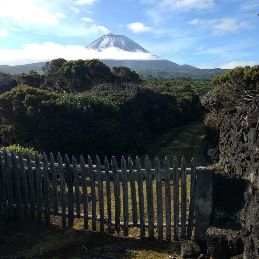 Casa Da Lava Konuk evi São Roque do Pico Dış mekan fotoğraf